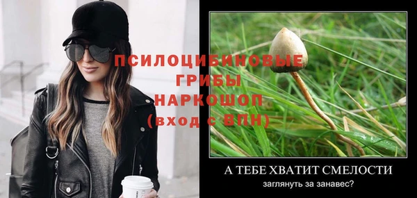 шишки Касимов