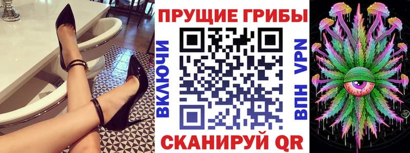 Купить где  Гулькевичи  Псилоцибиновые грибы ЛСД 